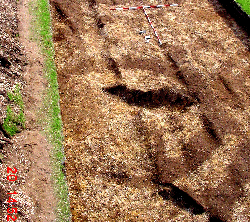 Barrowlet during excavation