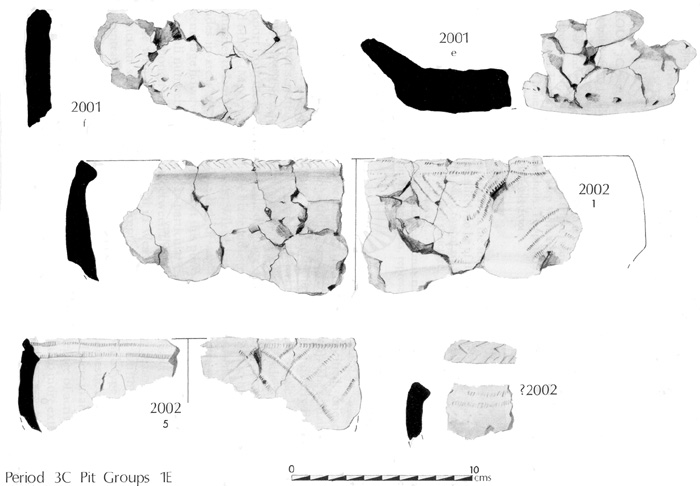 Figure 11    Pottery (Period 3C) from Area 1E