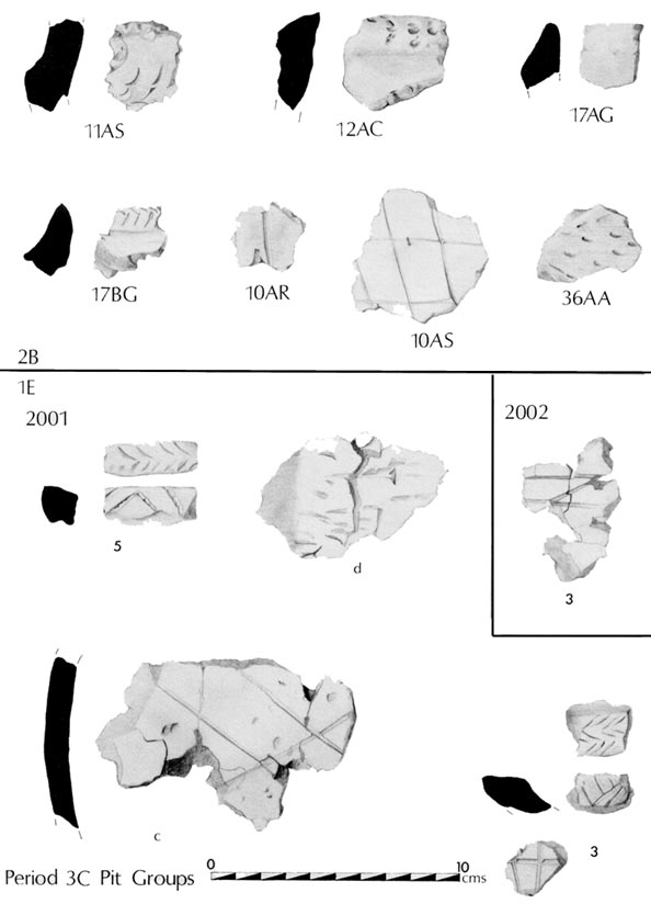 Figure 12  Pottery (Period 3C) from Areas 1E/2B