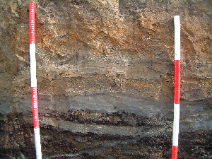 stratigraphy